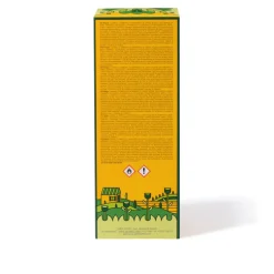 Acqua Di Parma Buongiorno^ Italian Moments